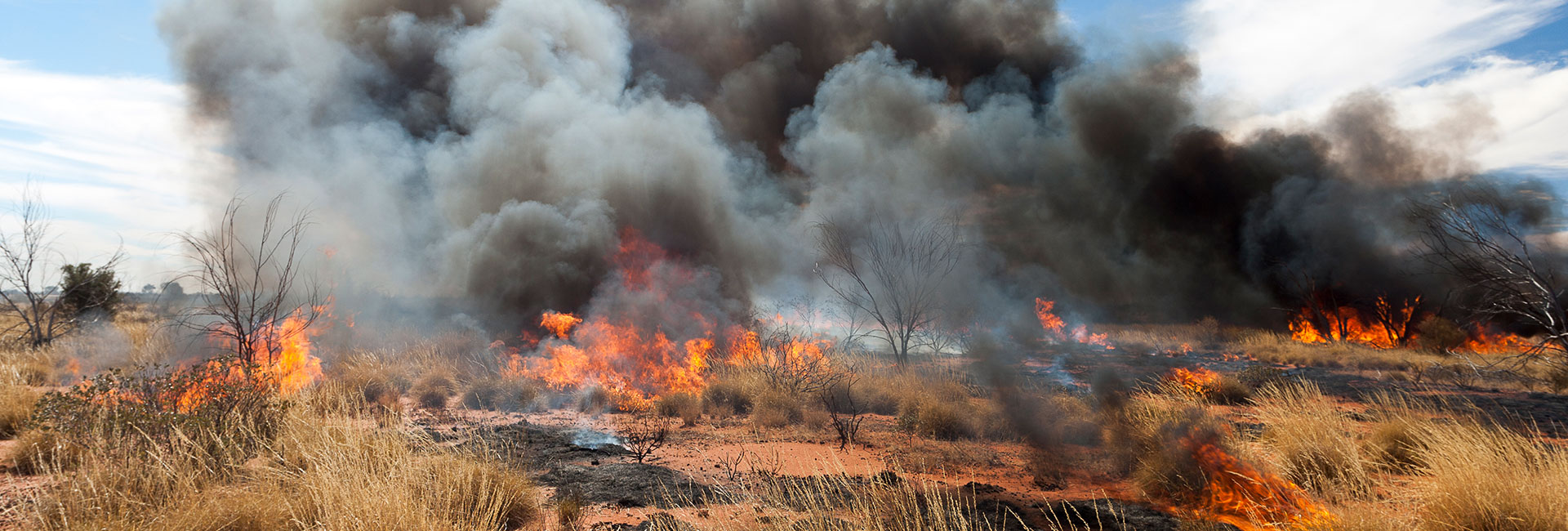 Bushfire Breaks – Safer Community Network